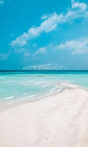 Preview wallpaper beach, horizon, sand, coast