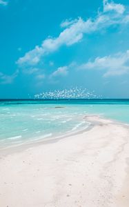 Preview wallpaper beach, horizon, sand, coast