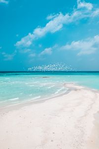 Preview wallpaper beach, horizon, sand, coast