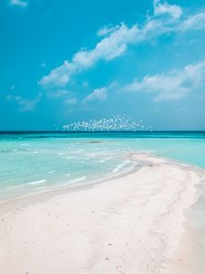 Preview wallpaper beach, horizon, sand, coast