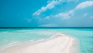 Preview wallpaper beach, horizon, sand, coast