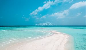 Preview wallpaper beach, horizon, sand, coast