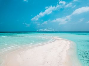 Preview wallpaper beach, horizon, sand, coast