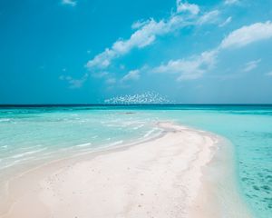 Preview wallpaper beach, horizon, sand, coast