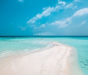 Preview wallpaper beach, horizon, sand, coast