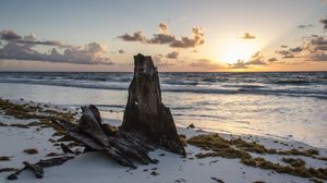 Preview wallpaper beach, horizon, sea, waves