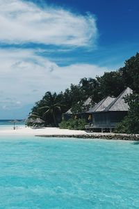 Preview wallpaper beach, maldives, bungalows, trees, tropics, summer