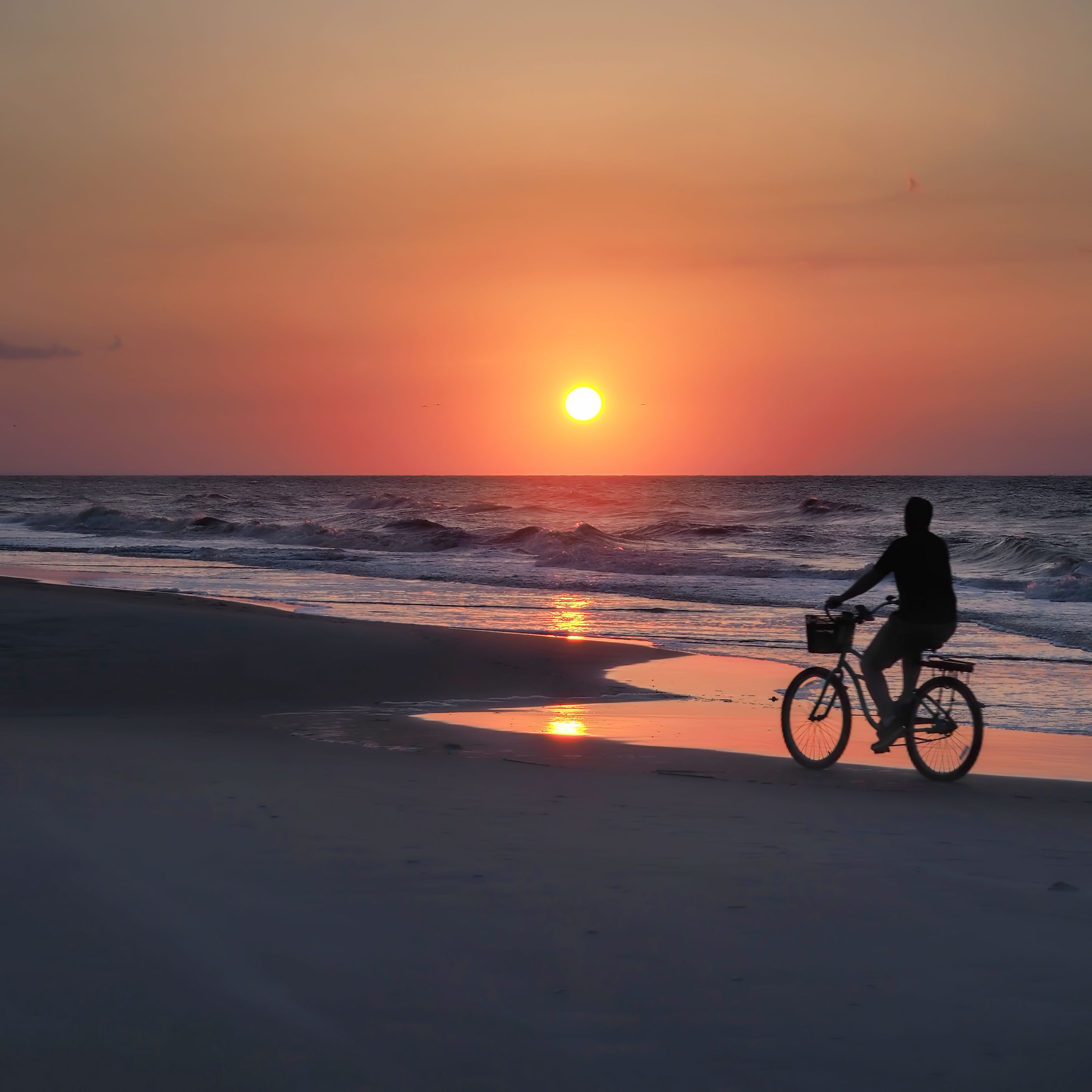 Download wallpaper 2780x2780 beach, man, bicycle, sunrise ipad air ...