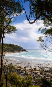 Preview wallpaper beach, ocean, island, trees, tropics