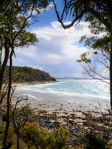 Preview wallpaper beach, ocean, island, trees, tropics