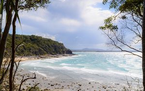 Preview wallpaper beach, ocean, island, trees, tropics