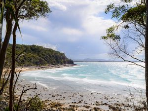 Preview wallpaper beach, ocean, island, trees, tropics