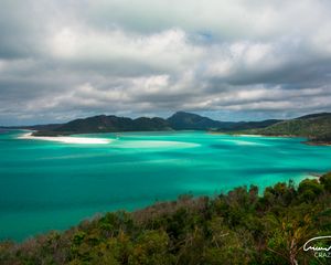 Preview wallpaper beach, ocean, landscape, coast, trees, sky