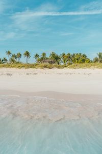 Preview wallpaper beach, ocean, palm trees, tropics, shore