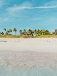 Preview wallpaper beach, ocean, palm trees, tropics, shore