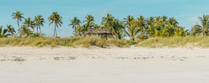 Preview wallpaper beach, ocean, palm trees, tropics, shore