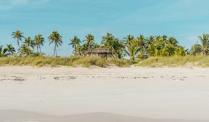 Preview wallpaper beach, ocean, palm trees, tropics, shore