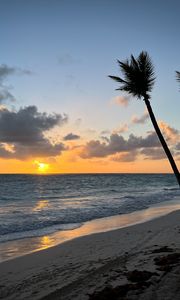 Preview wallpaper beach, ocean, palm trees, tropics, sunset