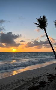 Preview wallpaper beach, ocean, palm trees, tropics, sunset