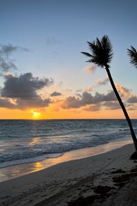 Preview wallpaper beach, ocean, palm trees, tropics, sunset