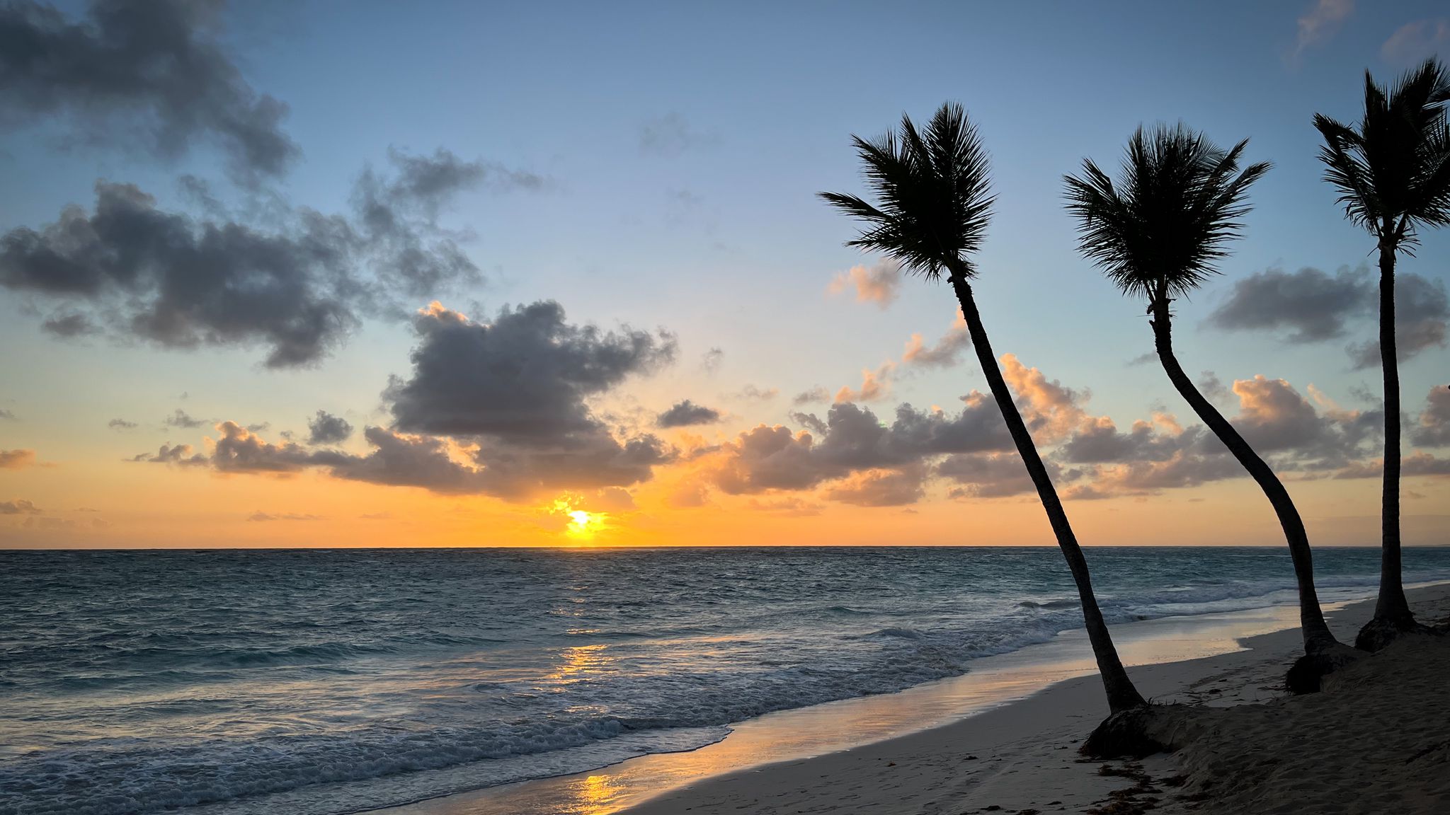 Download wallpaper 2048x1152 beach, ocean, palm trees, tropics, sunset