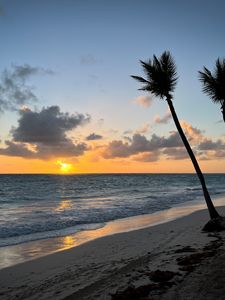 Preview wallpaper beach, ocean, palm trees, tropics, sunset