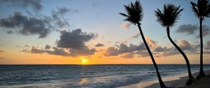 Preview wallpaper beach, ocean, palm trees, tropics, sunset