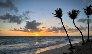 Preview wallpaper beach, ocean, palm trees, tropics, sunset