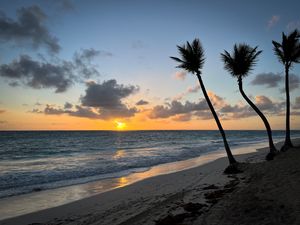 Preview wallpaper beach, ocean, palm trees, tropics, sunset