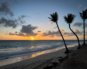 Preview wallpaper beach, ocean, palm trees, tropics, sunset