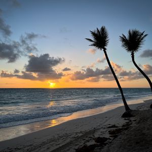 Preview wallpaper beach, ocean, palm trees, tropics, sunset