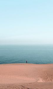 Preview wallpaper beach, ocean, silhouette, sand, haze, horizon