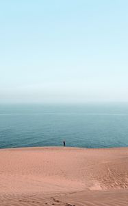 Preview wallpaper beach, ocean, silhouette, sand, haze, horizon