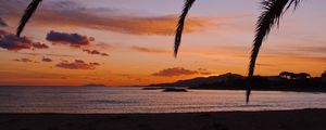 Preview wallpaper beach, palm, branches, dark, nature