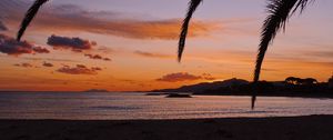 Preview wallpaper beach, palm, branches, dark, nature