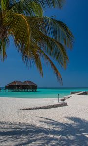 Preview wallpaper beach, palm, sand, tropics, bungalow