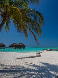 Preview wallpaper beach, palm, sand, tropics, bungalow