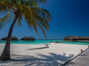 Preview wallpaper beach, palm, sand, tropics, bungalow