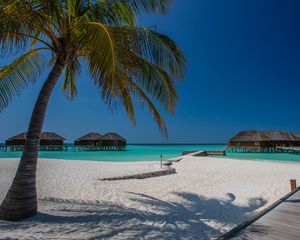 Preview wallpaper beach, palm, sand, tropics, bungalow