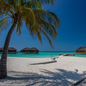 Preview wallpaper beach, palm, sand, tropics, bungalow