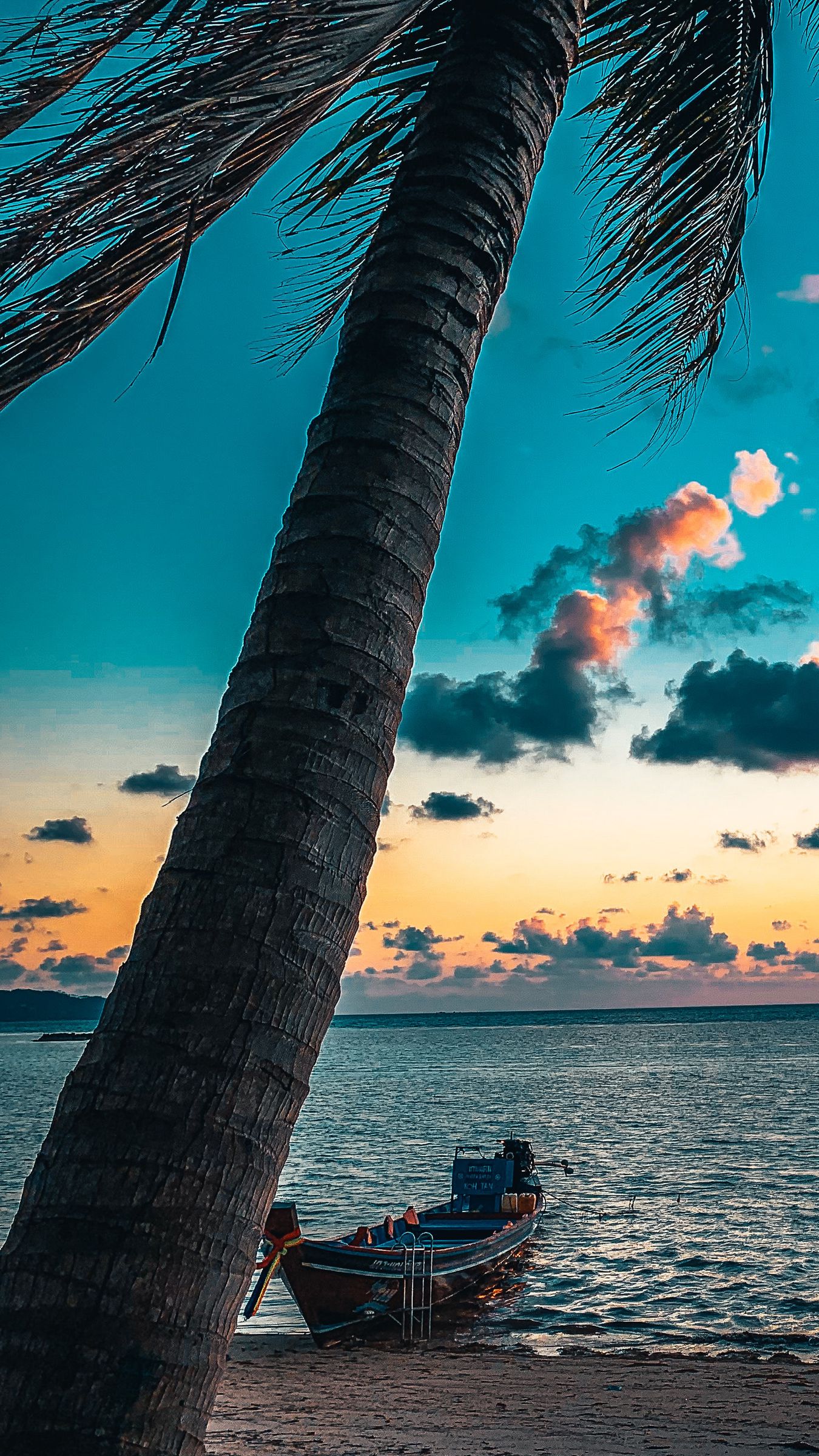 Download wallpaper 1350x2400 beach, palm tree, sea, boat, sunset iphone