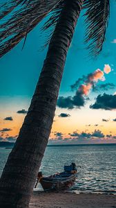 Preview wallpaper beach, palm tree, sea, boat, sunset