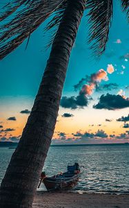 Preview wallpaper beach, palm tree, sea, boat, sunset