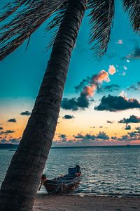 Preview wallpaper beach, palm tree, sea, boat, sunset