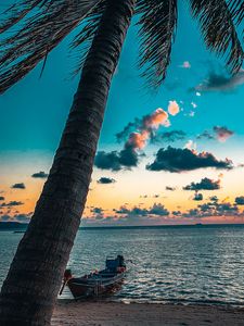 Preview wallpaper beach, palm tree, sea, boat, sunset