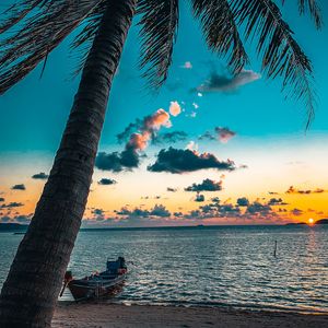 Preview wallpaper beach, palm tree, sea, boat, sunset