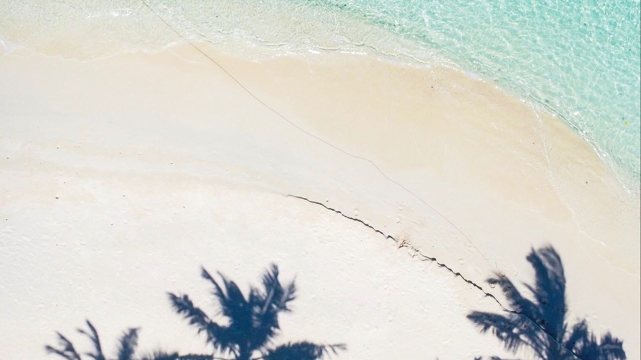 Wallpaper beach, palm trees, aerial view, shadow, sand, water