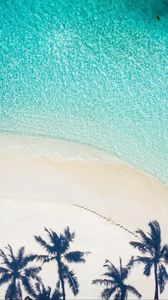 Preview wallpaper beach, palm trees, aerial view, shadow, sand, water