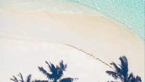 Preview wallpaper beach, palm trees, aerial view, shadow, sand, water
