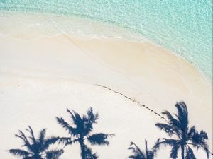 Preview wallpaper beach, palm trees, aerial view, shadow, sand, water